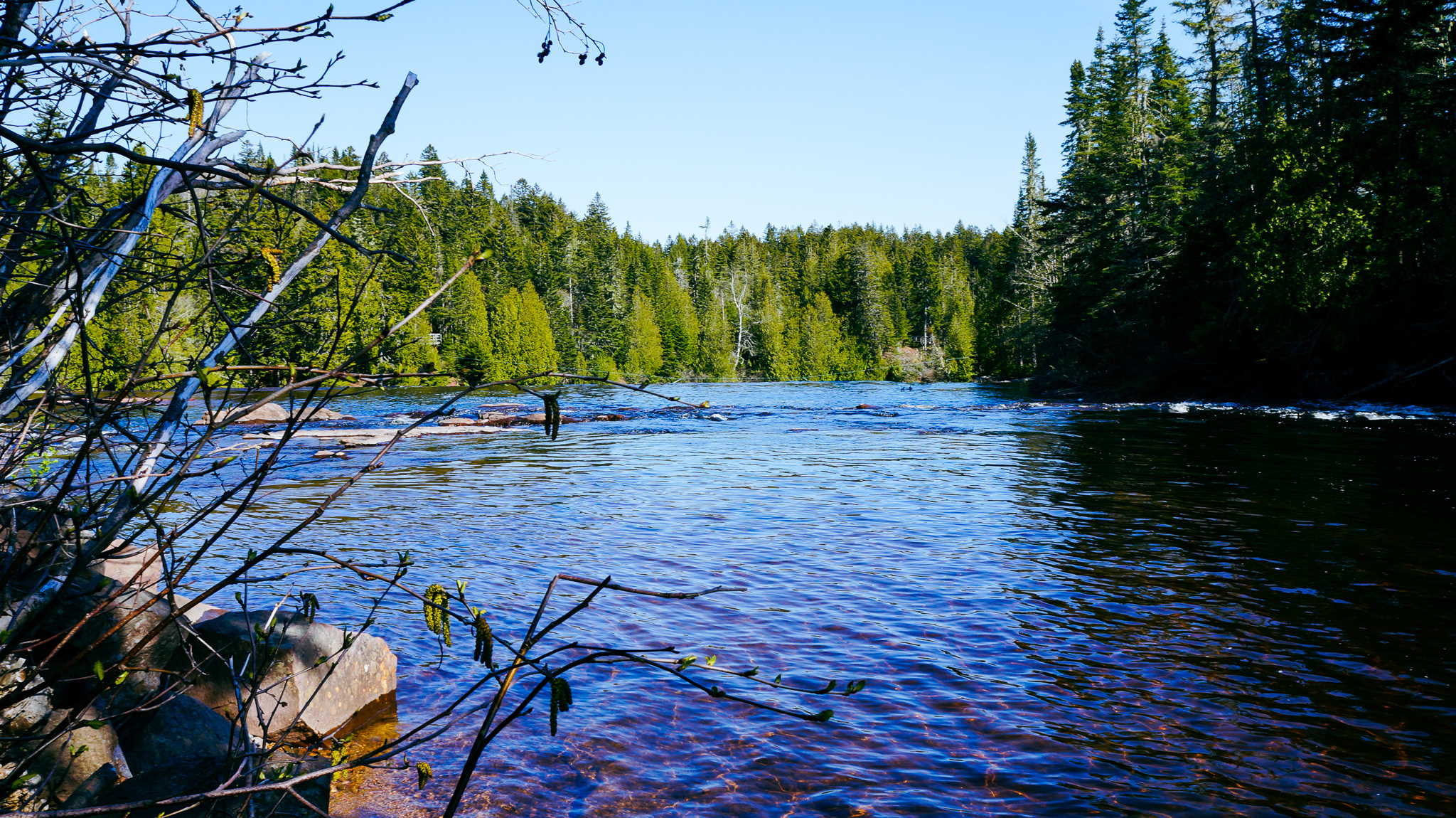 The Fundy Seaside Experience